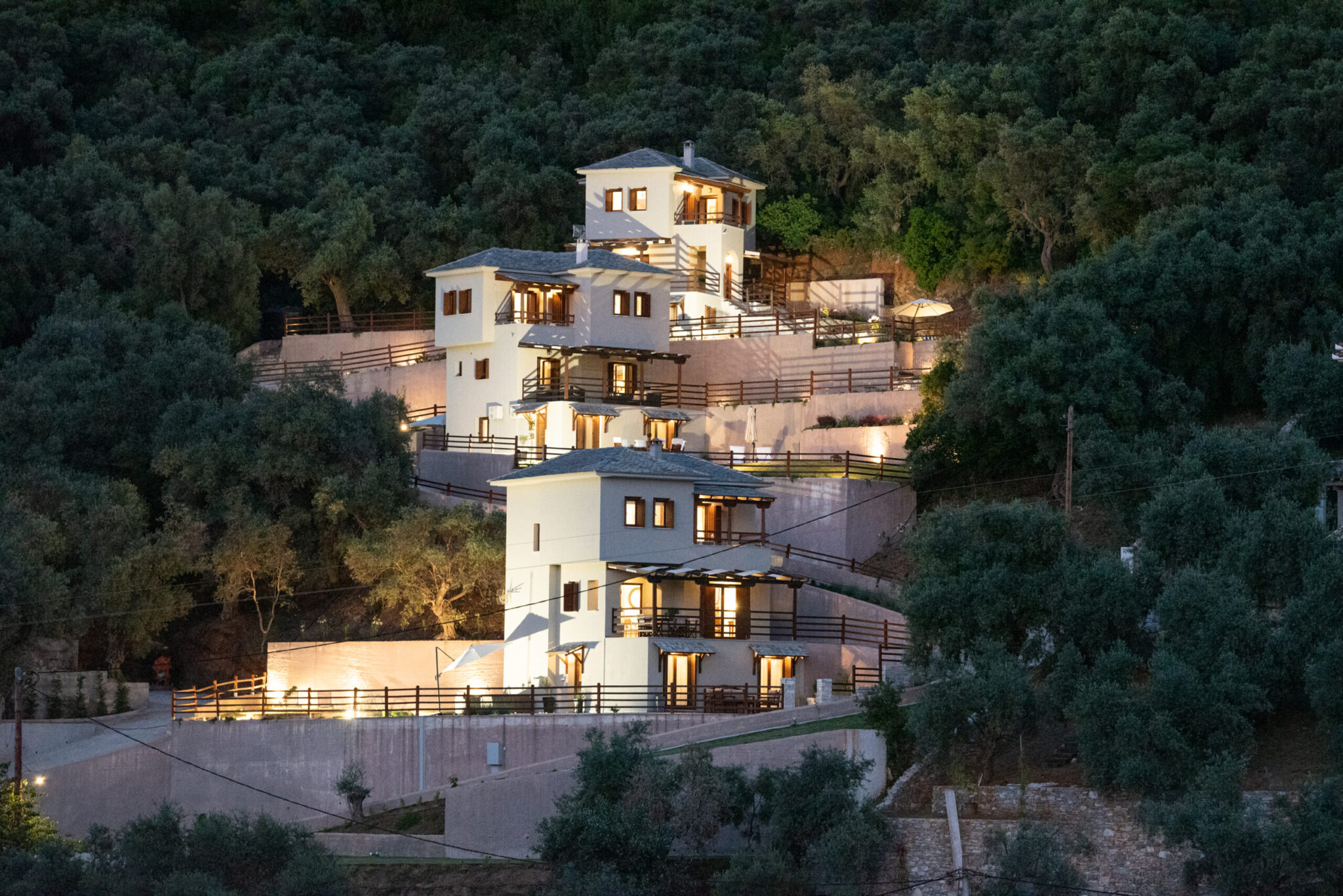 HOUSES IN AFISSOS PELION